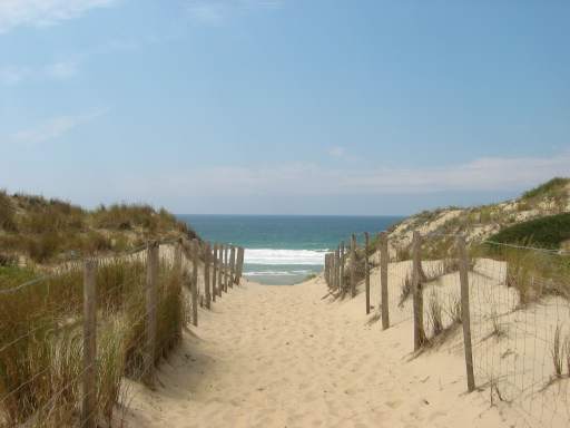 Ozeanblick (Beautyful)