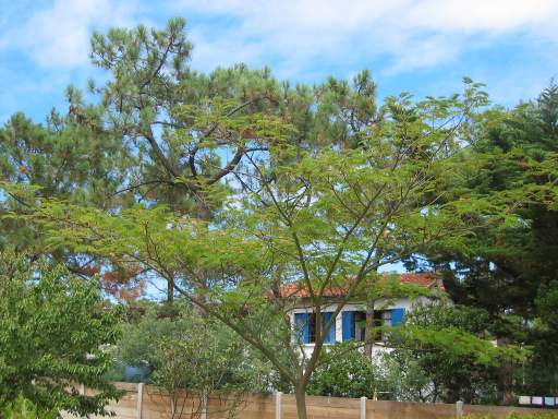 Blick von der Corner zur AJ (JH)