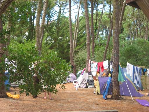 Zelplatz der AJ bei Morgensonne