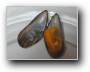 Miesmuschel (Moule)  