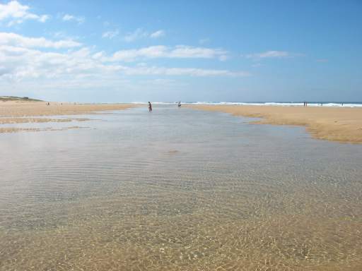 Reflexionen bei Ebb (S�dblick)