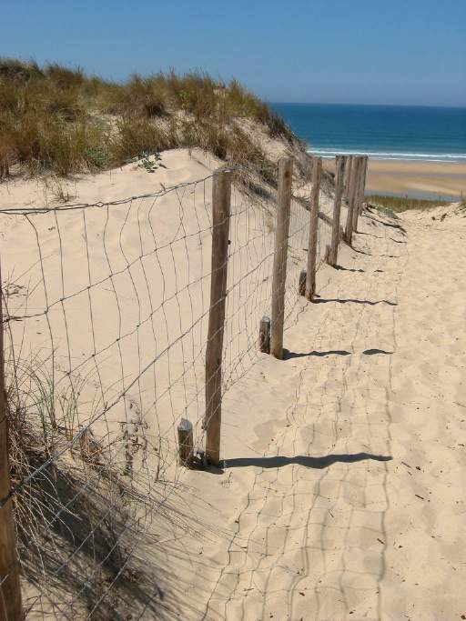 Zaunpfosten und Wanderd�nen