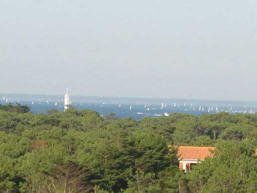 Segeln auf dem Bassin