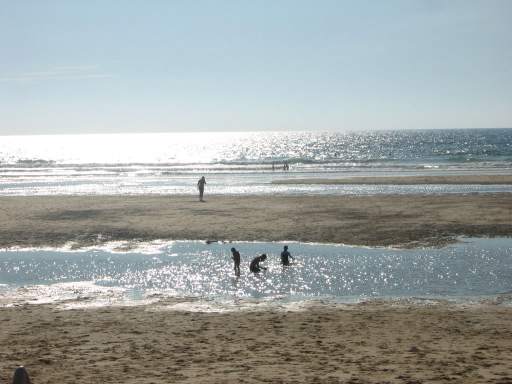 Silbersonne udn Sandbank