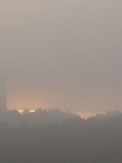 Goldreflex auf dem Bassin