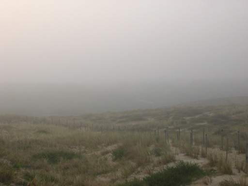 Nebel in den D�nen (Fr�h-herbst am 16.August)