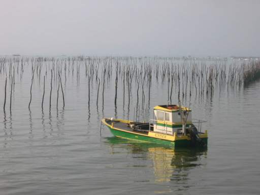 Morgenruhe am Bassin