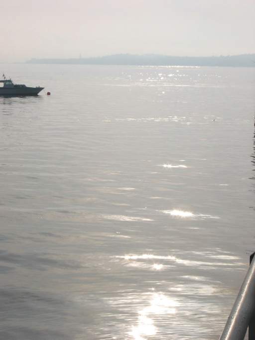 Morgenstimmung am Bassin