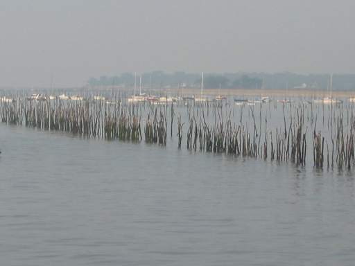 Morgenstimmung am Bassin