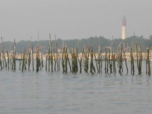 Morgenstimmung am Bassin