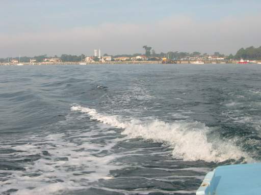 Wehm�tiger Blick zur�ck