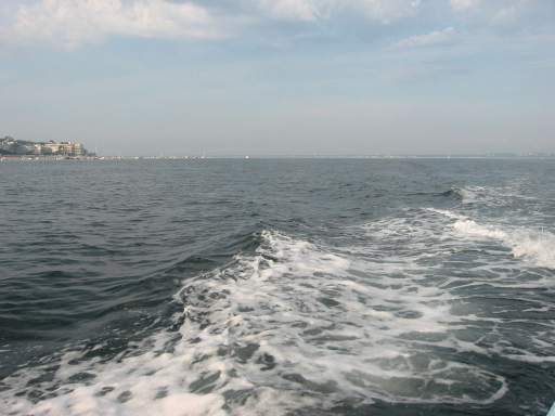 Wehm�tiger Blick zur�ck